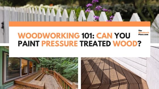 Woodworking 101: Can You Paint Pressure Treated Wood?