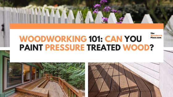 can you paint pressure treated wood