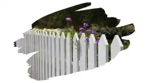 can you paint pressure treated wood
