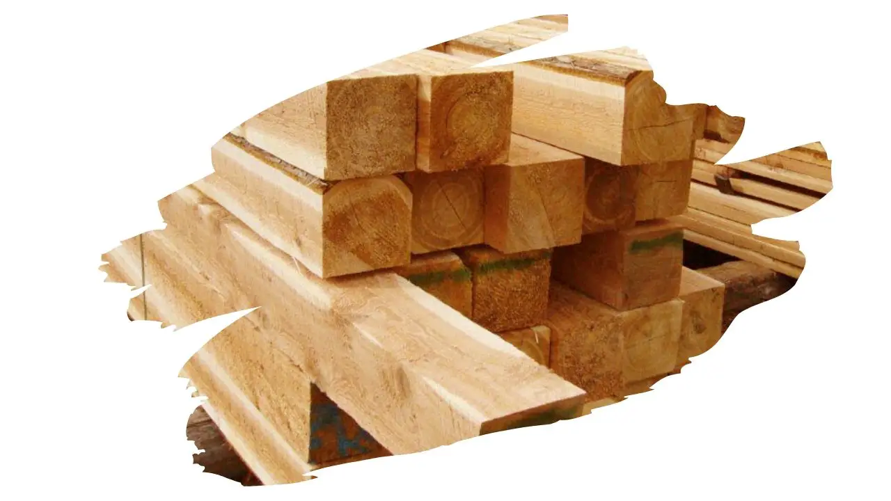 Is Cedar Good For Carving? (Everything You Need To Know!)