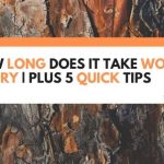 How Long Does It Take Wood To Dry | Plus 5 Quick Tips