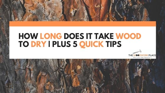 How Long Does It Take Wood To Dry _ Plus 5 Quick Tips