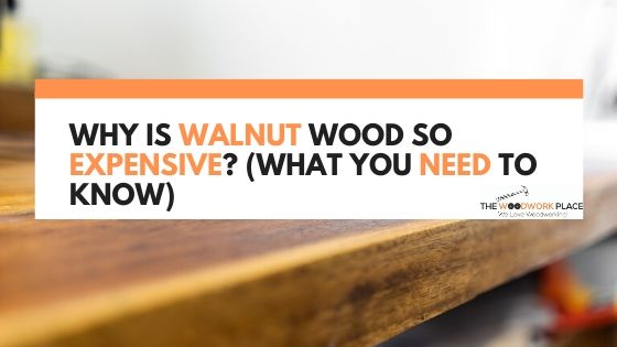 Why Is Walnut Wood So Expensive_ (What You Need To Know)