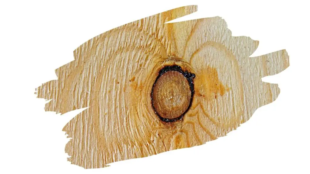 Wood Knot 24