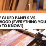 Edge Glued Panels vs Plywood (Everything You Need To Know!)