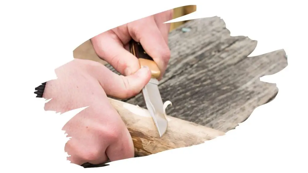 whittling projects for beginners