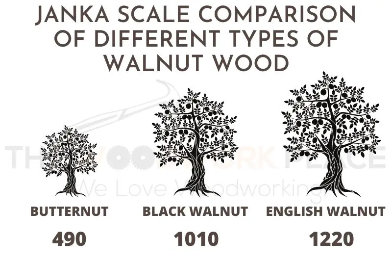 Janka Rating Comparison of Walnut Wood