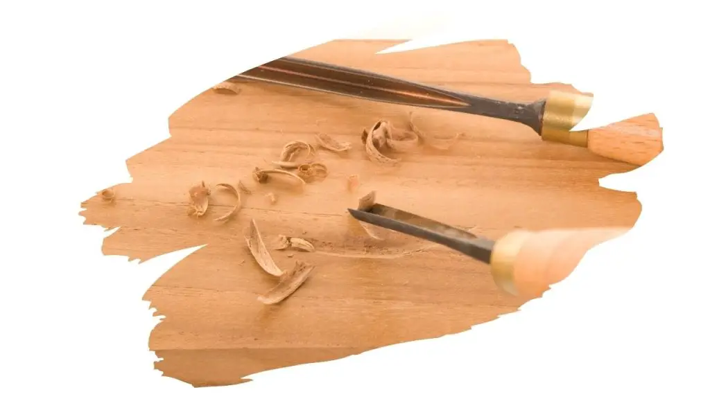 Where Can I Buy Wood For Carving? (Solved!)