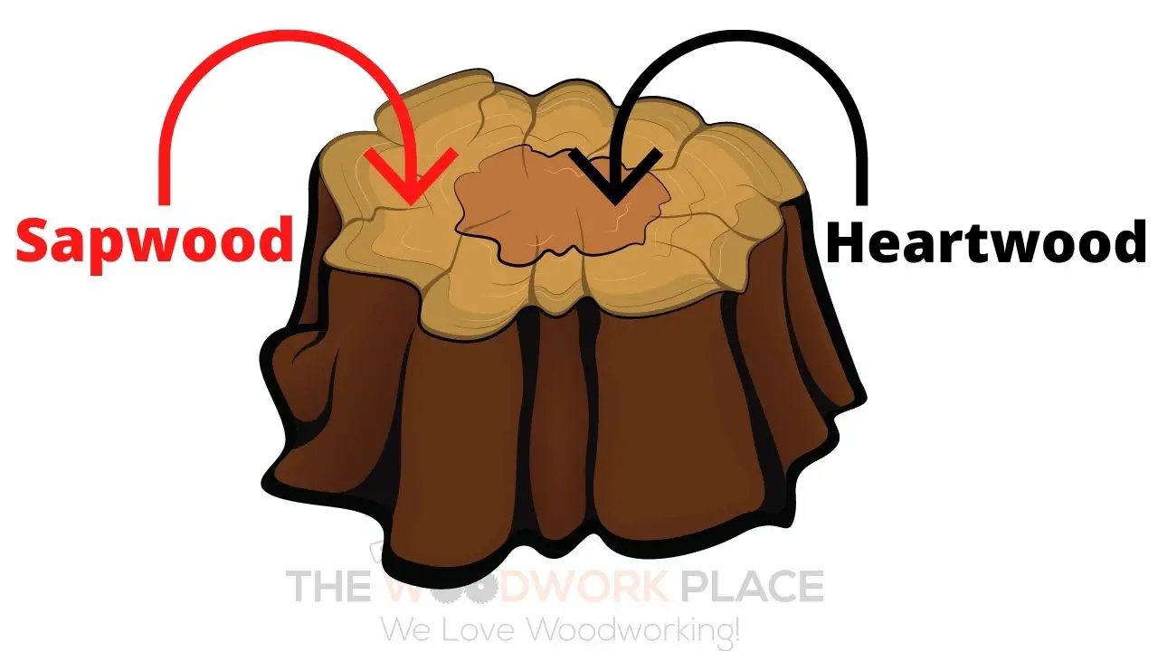 Is Cherry Wood Good For Carving? The Woodwork Place