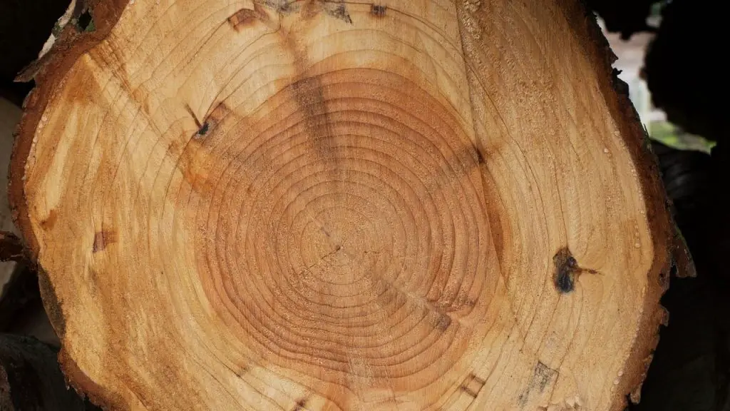 is cherry wood good for carving