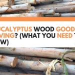 is eucalyptus wood good for carving