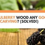 is mulberry wood good for carving