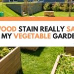 Is Wood Stain Really Safe For My Vegetable Garden