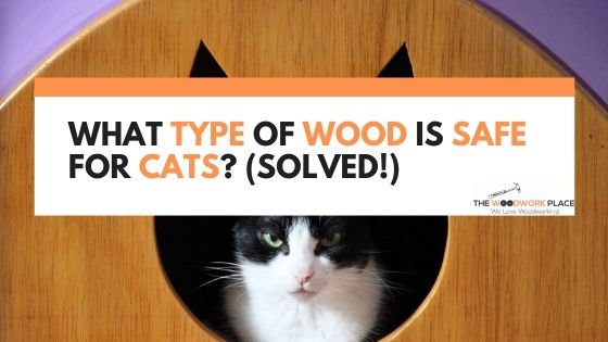 What Type Of Wood Is Safe For Cats