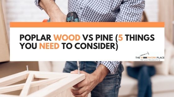 poplar wood vs pine