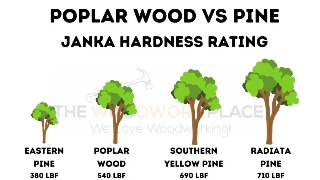 Poplar Wood vs Pine Durability Janka Hardness Rating