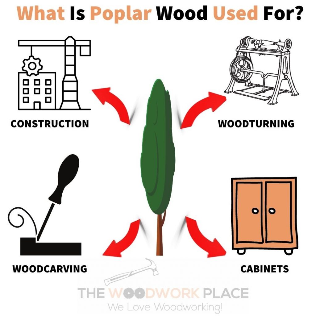 What Is Poplar Wood Used For?