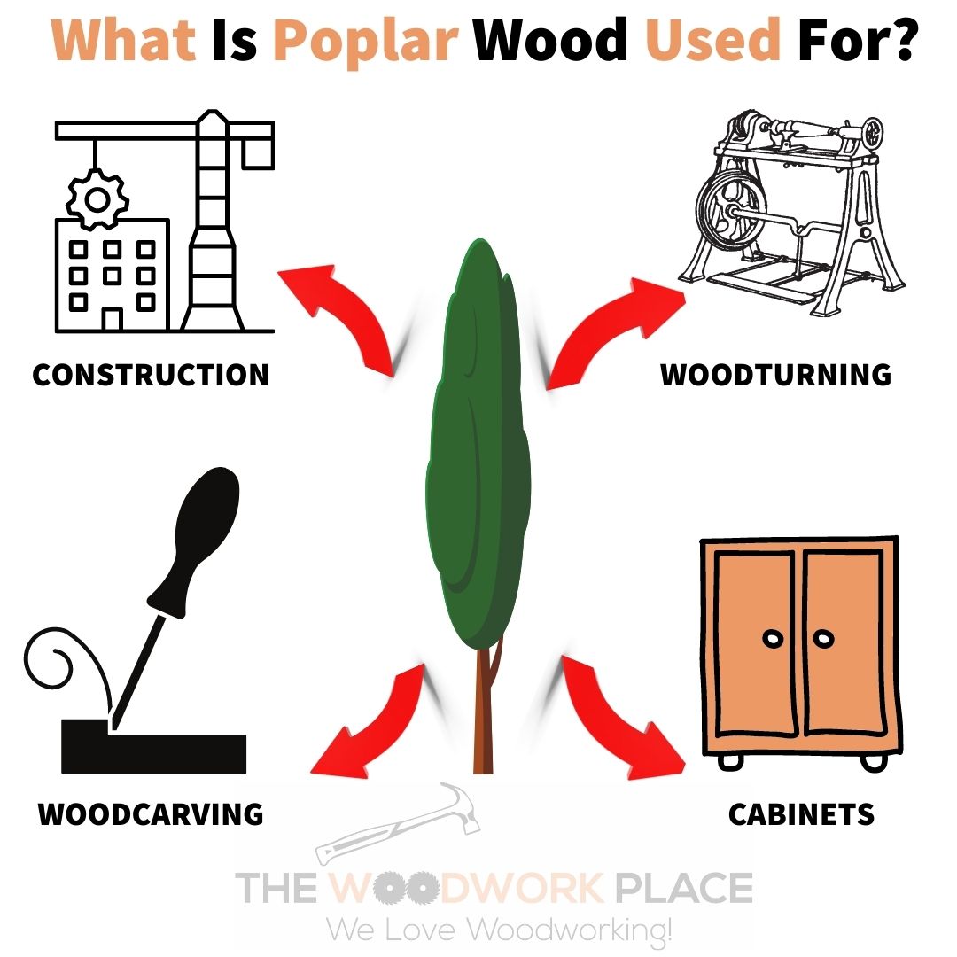 Poplar Wood vs Pine (5 Things You Need To Consider)