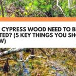 Does Cypress Wood Need To Be Treated? (5 Key Things You Should Know)
