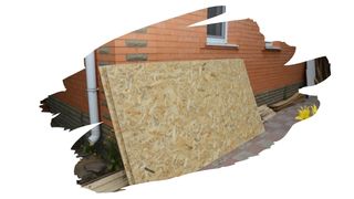 Do You Nail Or Screw OSB Board In Place?