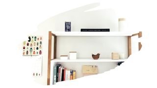 OSB vs Plywood For Your Shelves