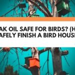 is teak oil safe for birds
