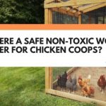 non toxic wood sealer for chicken coop
