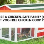 Chicken Safe Coop Paint