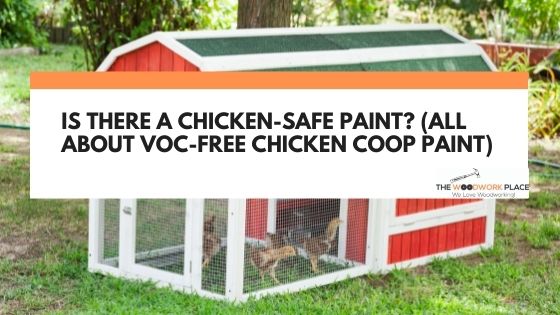Chicken Safe Coop Paint