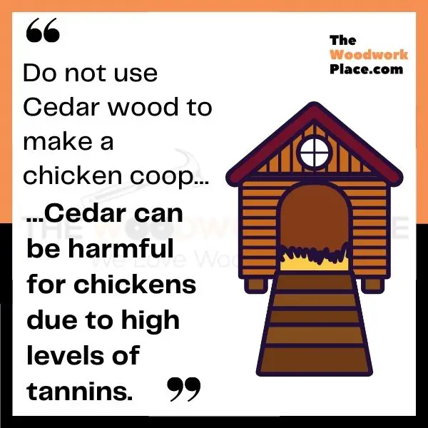 Is There A Safe Non-Toxic Wood Sealer For Chicken Coops?