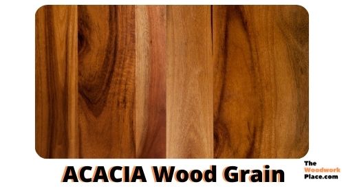 ACACIA WOOD GRAIN