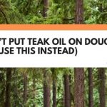 Don't Put Teak Oil On Douglas Fir (Use This Instead)
