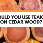 Should You Use Teak Oil On Cedar Wood? (Best Practice Revealed)