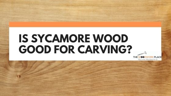 is sycamore good for carving