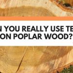 Can You Use Teak Oil On Poplar Wood? (Best Practice Revealed)