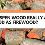 Is Aspen Wood Really Any Good As Firewood? (Revealed!)