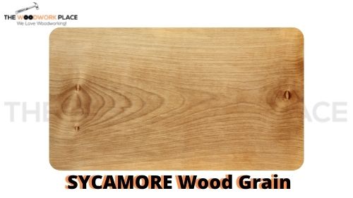 IMAGE OF SYCAMORE WOOD GRAIN