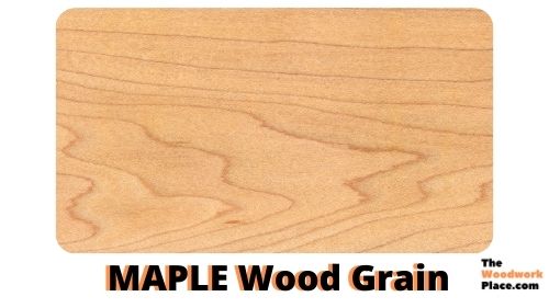 MAPLE WOOD GRAIN