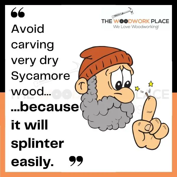 is sycamore good for carving 