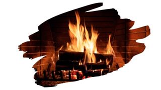 is redwood good firewood