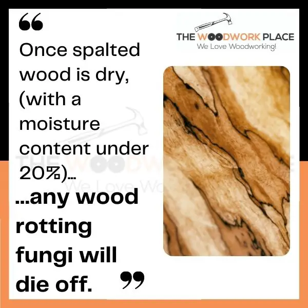 is spalted wood food safe