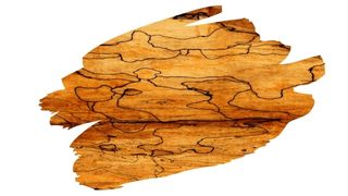 is spalted wood food safe