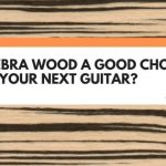 is zebra wood good for guitars