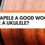 is sapele wood good for ukulele