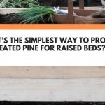 What’s The Simplest Way To Protect Untreated Pine For Raised Beds?