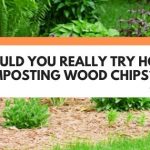 hot composting wood chips