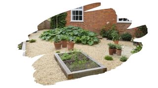 oak for raised beds 