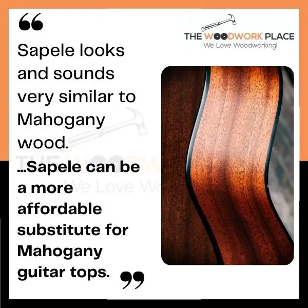 sapele vs maple