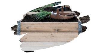 untreated pine for raised beds