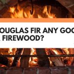 Is Douglas Fir Any Good For Firewood?